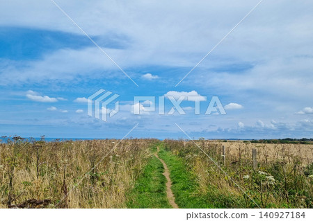 Scenic Coastal Pathway Amidst Wildflowers Under a Vibrant Blue Sky for Nature Prints 140927184