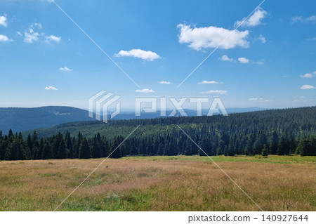 Serene Mountain Vista with Expansive Forest and Clear Blue Sky for Nature Poster Design Serene Mountain Vista with Expansive Forest and Clear Blue Sky for Nature Poster Design 140927644