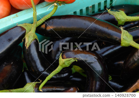 Freshly harvested eggplants and ripe tomatoes in a vibrant farmer's market during a sunny afternoon in early autumn Freshly harvested eggplants and ripe tomatoes in a vibrant farmer's market during a sunny afternoon in early autumn 140928700