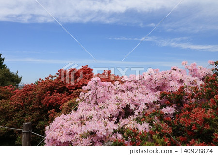 Scenery of Tsutsujigaoka Park in Tatebayashi City, Gunma Prefecture 140928874