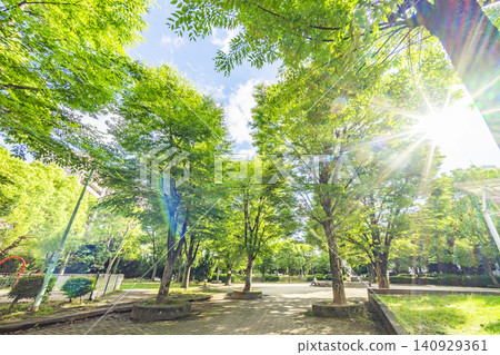 春日部市/中央町第四公園 春日部市/中央町第四公園 140929361