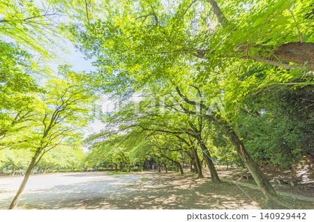 Kasukabe City / Yawata Park Kasukabe City / Yawata Park 140929442