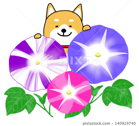 一隻咧嘴大笑的柴犬站在五彩繽紛的牽牛花田後。 一隻咧嘴大笑的柴犬站在五彩繽紛的牽牛花田後。 140929740