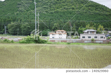 Rice paddies and rural scenery immediately after planting (countryside scenery) Rice paddies and rural scenery immediately after planting (countryside scenery) 140929960