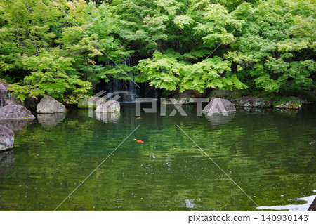 The lush greenery of Himeji City, Himeji Castle West Residence Site Garden, and Kokoen Garden The lush greenery of Himeji City, Himeji Castle West Residence Site Garden, and Kokoen Garden 140930143