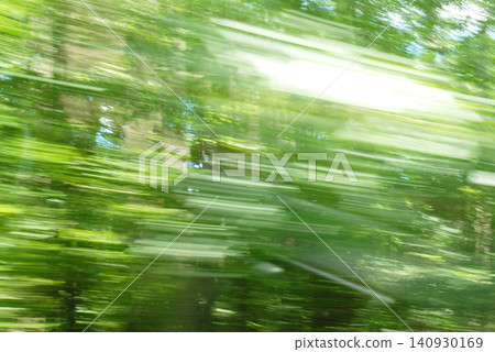 駕車穿過森林,翠綠的樹葉在風中搖曳。 駕車穿過森林,翠綠的樹葉在風中搖曳。 140930169