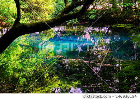 The Blue Pond reflecting fresh greenery The Blue Pond reflecting fresh greenery 140930184