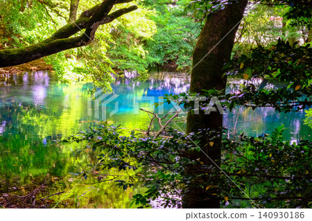 Fresh greenery and Maruike Pond Fresh greenery and Maruike Pond 140930186