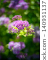 Abstract Bokeh Purple Flowers Dreamy Nature Background Vertical Photo 140931137