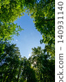 Green Forest Canopy Blue Sky View From Below Photo 140931140