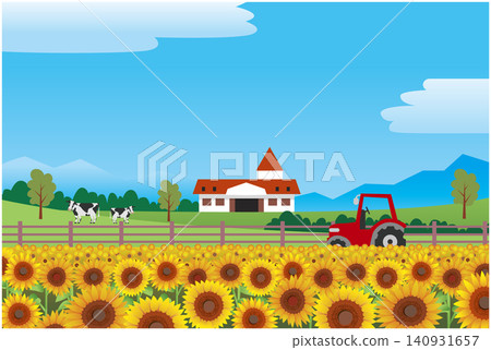 Summer sunflower field landscape Summer sunflower field landscape 140931657