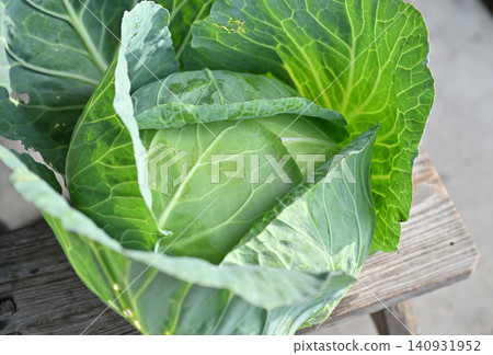Freshly harvested fresh vegetables Freshly harvested fresh vegetables 140931952