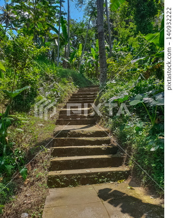 Concrete staircase leading upward through sunny tropical garden with banana trees and palm trunks Concrete staircase leading upward through sunny tropical garden with banana trees and palm trunks 140932222