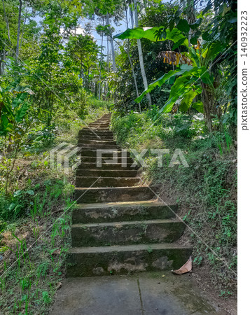 Concrete staircase leading upward through sunny tropical garden with banana trees and palm trunks Concrete staircase leading upward through sunny tropical garden with banana trees and palm trunks 140932223