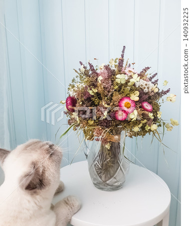 Curious cat sniffing dried wildflower bouquet in crystal vase on white table against light blue wall Curious cat sniffing dried wildflower bouquet in crystal vase on white table against light blue wall 140932225