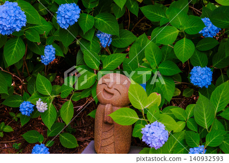 Hydrangea and hydrangea Hydrangea and hydrangea 140932593