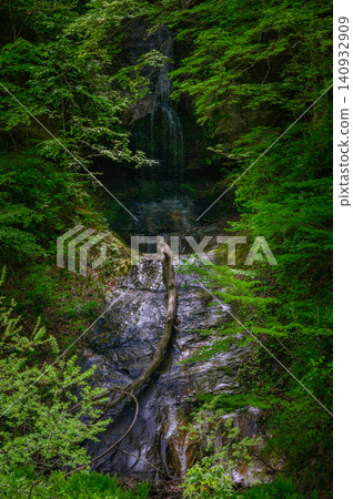 [Okusobana Valley] Cliffside waterfall and fresh greenery [Kinasato, Nagano City] 140932909