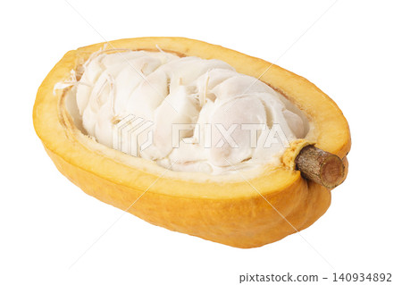 A cross-section of a cacao or cocoa fruit pod isolated on a white background A cross-section of a cacao or cocoa fruit pod isolated on a white background 140934892