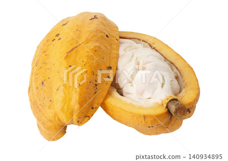 A cross-section of a cacao or cocoa fruit pod isolated on a white background A cross-section of a cacao or cocoa fruit pod isolated on a white background 140934895