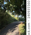A green walking path surrounded by trees 140935560