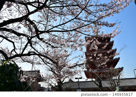 春日的日本東京淺草:淺草寺的五重塔,盛開的櫻花,以及美麗的藍天。 春日的日本東京淺草:淺草寺的五重塔,盛開的櫻花,以及美麗的藍天。 140935617