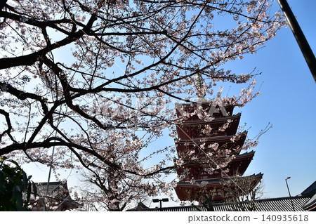 Asakusa in Tokyo, Japan, in spring: The five-story pagoda of Senso-ji Temple, cherry blossoms in full bloom, and a beautiful blue sky. Asakusa in Tokyo, Japan, in spring: The five-story pagoda of Senso-ji Temple, cherry blossoms in full bloom, and a beautiful blue sky. 140935618