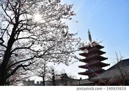 春日的日本東京淺草:淺草寺的五重塔,盛開的櫻花,以及美麗的藍天。 春日的日本東京淺草:淺草寺的五重塔,盛開的櫻花,以及美麗的藍天。 140935619