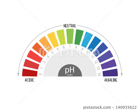 pH Scale Chart Vector Illustration with Acidic Neutral and Alkaline Levels pH Scale Chart Vector Illustration with Acidic Neutral and Alkaline Levels 140935622