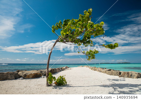 Vacation summer holidays background wallpaper Vacation summer holidays background wallpaper 140935694
