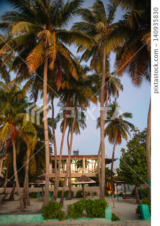 View of a modern villa in a tropical environment View of a modern villa in a tropical environment 140935830