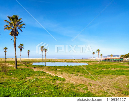 Capture the peaceful essence of a coastal oasis featuring palm trees, a calm reflection pond, and lush greenery under a clear blue sky. Ideal for travel, summer, and relaxation. 140936227