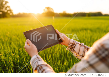 Young woman agronomist works on a modern digital tablet on a green wheat field. 140936512
