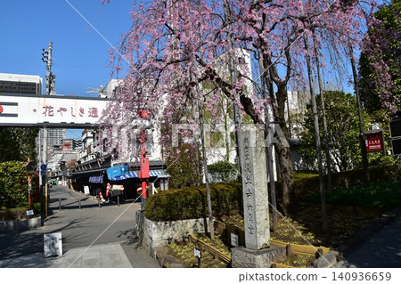 日本東京淺草,春天:從淺草寺庭院望去,花屋敷遊樂園櫻花盛開,天空湛藍美麗。 日本東京淺草,春天:從淺草寺庭院望去,花屋敷遊樂園櫻花盛開,天空湛藍美麗。 140936659