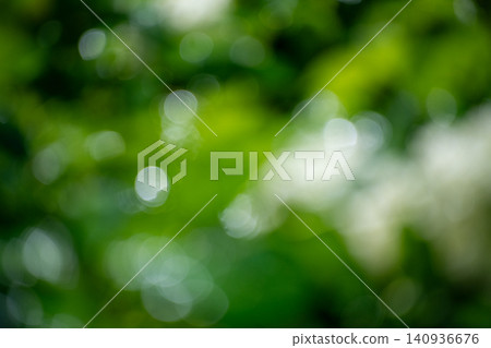 Background material, blurred material, green, bokeh, image of a lush green forest. Background material, blurred material, green, bokeh, image of a lush green forest. 140936676