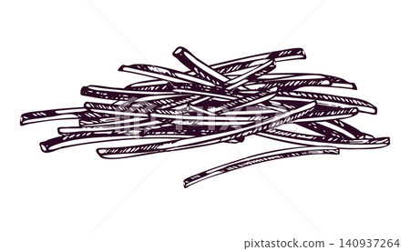 Beetroot cut into strips. Hand drawn ink illustration of sliced beet in engraving style. Organic vegetable ingredient for healthy vegan food diet and culinary kitchen recipe. Beetroot cut into strips. Hand drawn ink illustration of sliced beet in engraving style. Organic vegetable ingredient for healthy vegan food diet and culinary kitchen recipe. 140937264
