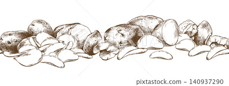 Potato illustration sketch drawn by ink. Hand drawn engraved style of raw whole tuber, sliced piece and potato wedge. Culinary vegetable ingredient for organic food and farm design. Potato illustration sketch drawn by ink. Hand drawn engraved style of raw whole tuber, sliced piece and potato wedge. Culinary vegetable ingredient for organic food and farm design. 140937290