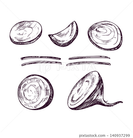 Beetroot slices and pieces hand drawn with ink in engraving style. Fresh vegetable ingredient collection. Organic raw food sketch for culinary menu design or cooking recipe layout. 140937299