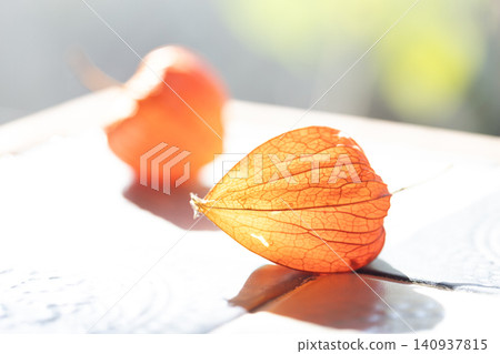 Fruit of Hozuki 140937815