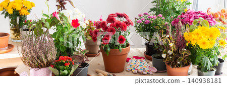 Decoration terrace with vibrant fall flowers like chrysanthemums and heather in pots, creating a cozy and colorful outdoor environment for autumn, banner Decoration terrace with vibrant fall flowers like chrysanthemums and heather in pots, creating a cozy and colorful outdoor environment for autumn, banner 140938181