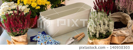 Decoration terrace with vibrant fall flowers like chrysanthemums and heather in pots, creating a cozy and colorful outdoor environment for autumn, banner Decoration terrace with vibrant fall flowers like chrysanthemums and heather in pots, creating a cozy and colorful outdoor environment for autumn, banner 140938303