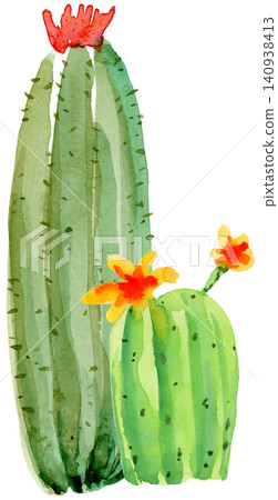 Two blooming cactus with flowers in watercolor Two blooming cactus with flowers in watercolor 140938413
