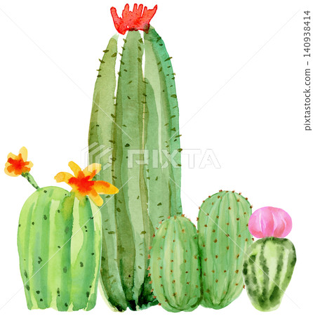 Watercolor Cactus Divider Cacti Group Composition Watercolor Cactus Divider Cacti Group Composition 140938414
