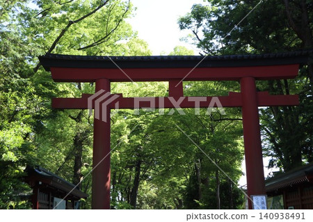 大宮冰川神社境內 大宮冰川神社境內 140938491