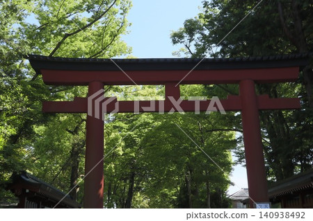 Omiya Hikawa Shrine precincts Omiya Hikawa Shrine precincts 140938492