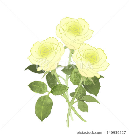 Illustration of three white roses Illustration of three white roses 140939227