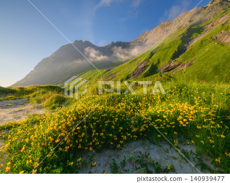 Blooming beach in Lofoten Islands, Norway during midnight summer light. Blooming beach in Lofoten Islands, Norway during midnight summer light. 140939477