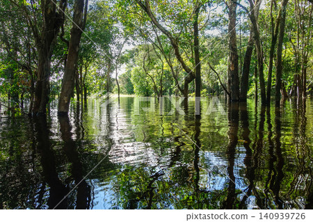 flooded landscape beneath treetops in Amazon rainforest in Brazil flooded landscape beneath treetops in Amazon rainforest in Brazil 140939726