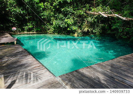 turquoise and crystalline spring pool of fresh water into Amazon rainforest. Presidente Figueiredo, Amazonas, Brazil turquoise and crystalline spring pool of fresh water into Amazon rainforest. Presidente Figueiredo, Amazonas, Brazil 140939733