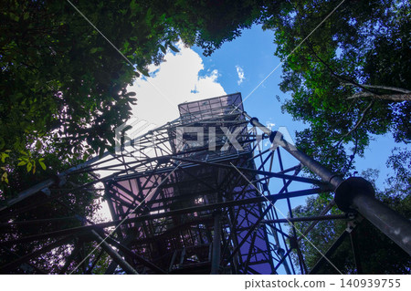 low angle of observation tower in Amazon rainforest. Museu da Amazonia, Manaus, Brazil 140939755
