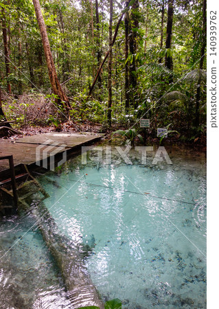 Beautiful spring of fresh water into Amazon rainforest. Presidente Figueiredo, Amazonas, Brazil Beautiful spring of fresh water into Amazon rainforest. Presidente Figueiredo, Amazonas, Brazil 140939762